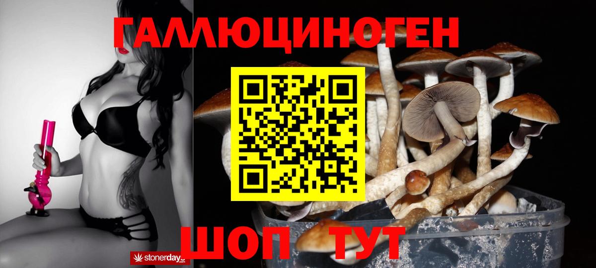 Псилоцибиновые грибы GOLDEN TEACHER  Вход с VPN  Галлюциногенные грибы Cubensis  Лосино-Петровский 
