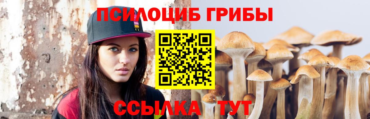 Псилоцибиновые грибы Psilocybine cubensis Лосино-Петровский